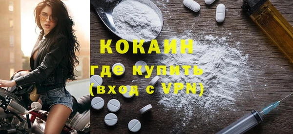 гашик Няндома