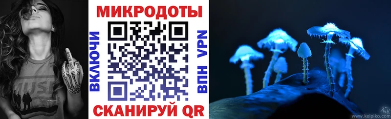 блэк спрут ссылка  Починок  Псилоцибиновые грибы мухоморы 
